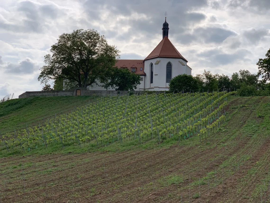 Vogelsburg Vogelsburg