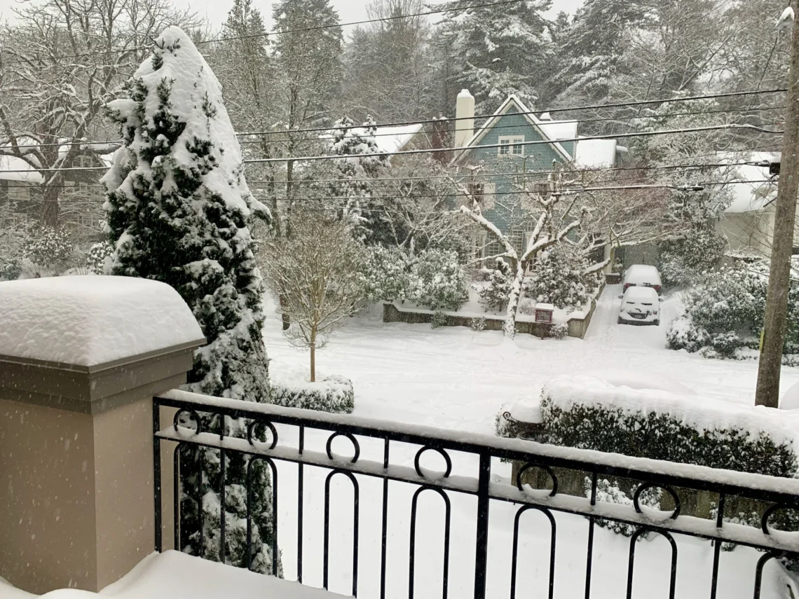 Let it Schnee Let it Schnee