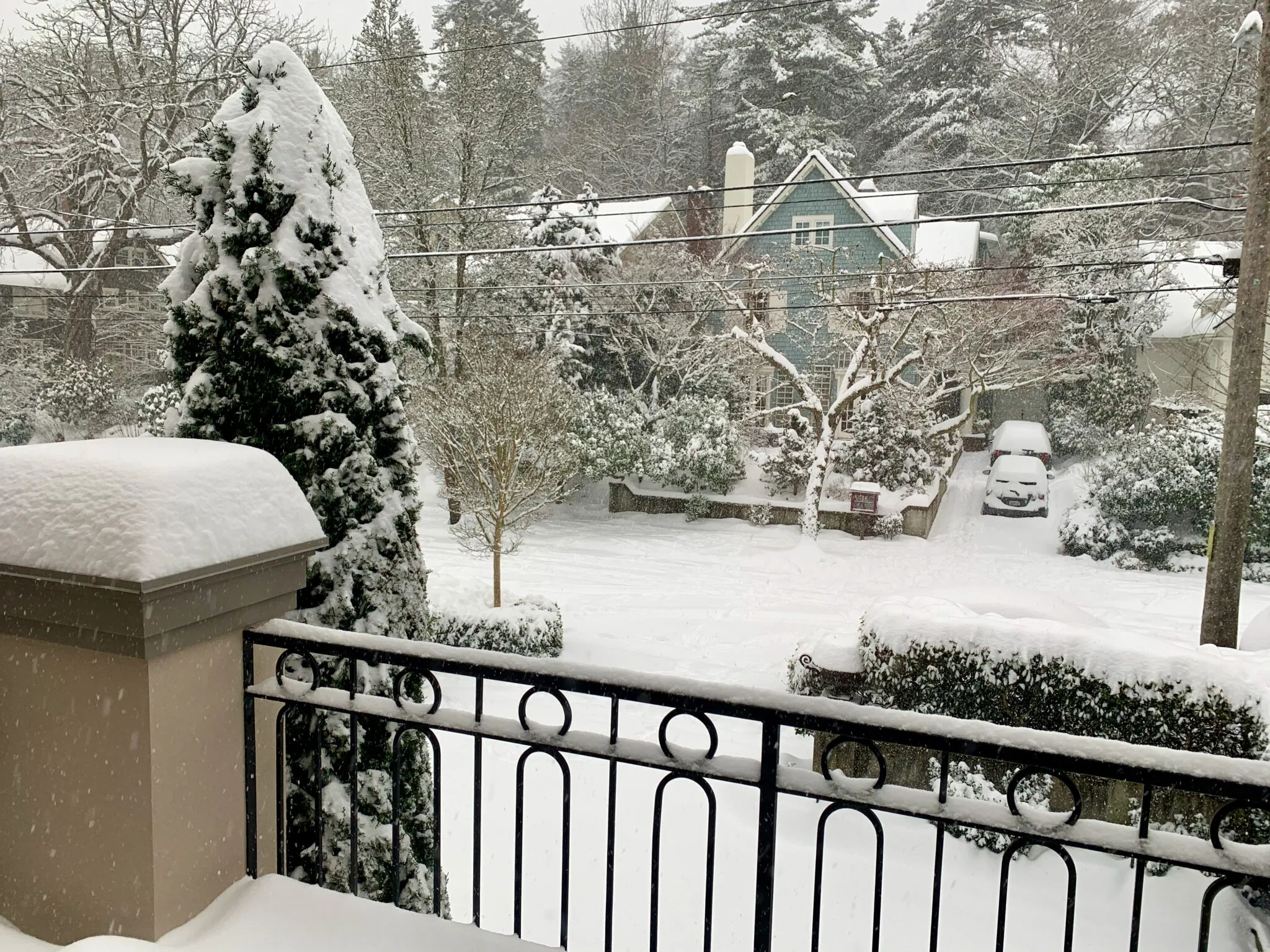 Let it Schnee