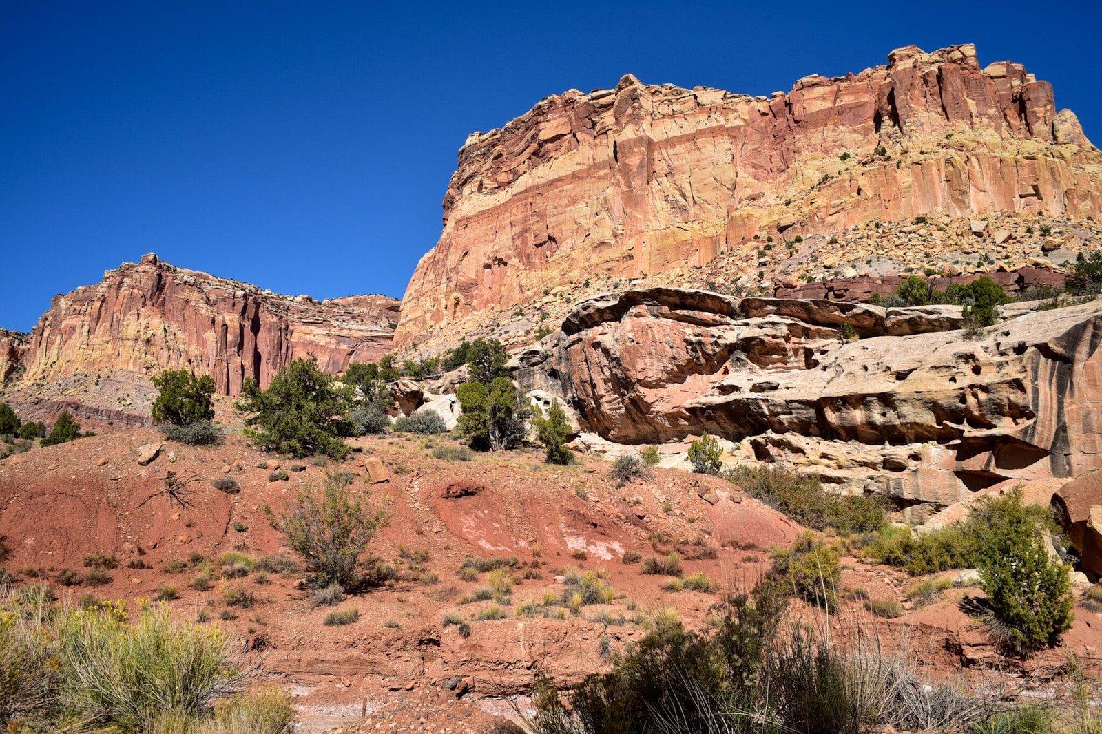 dsc_0538-3036824