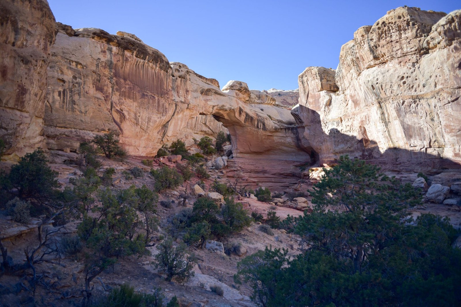 dsc_0648-3482504