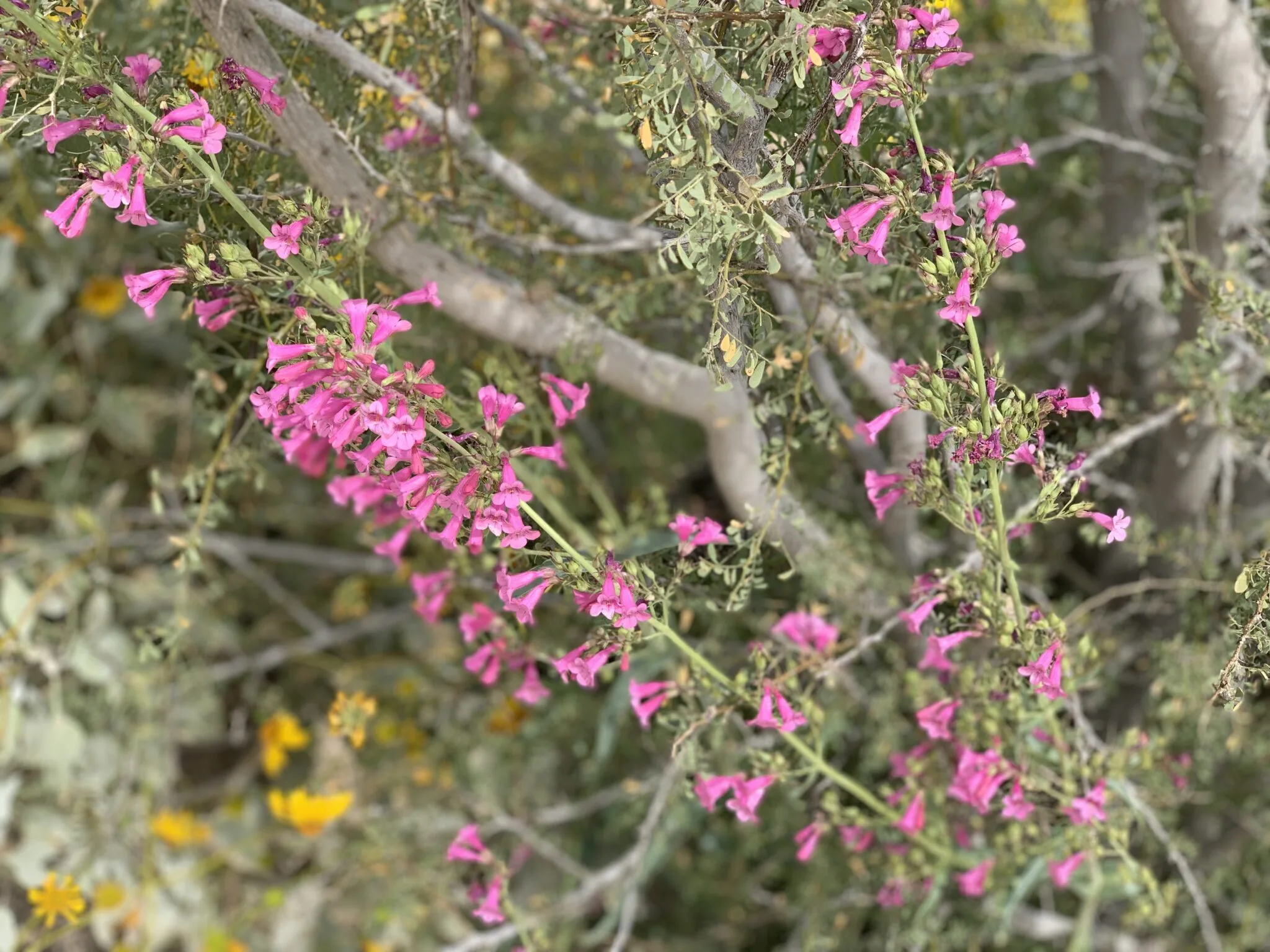 img_5664-2048x1536-1262673