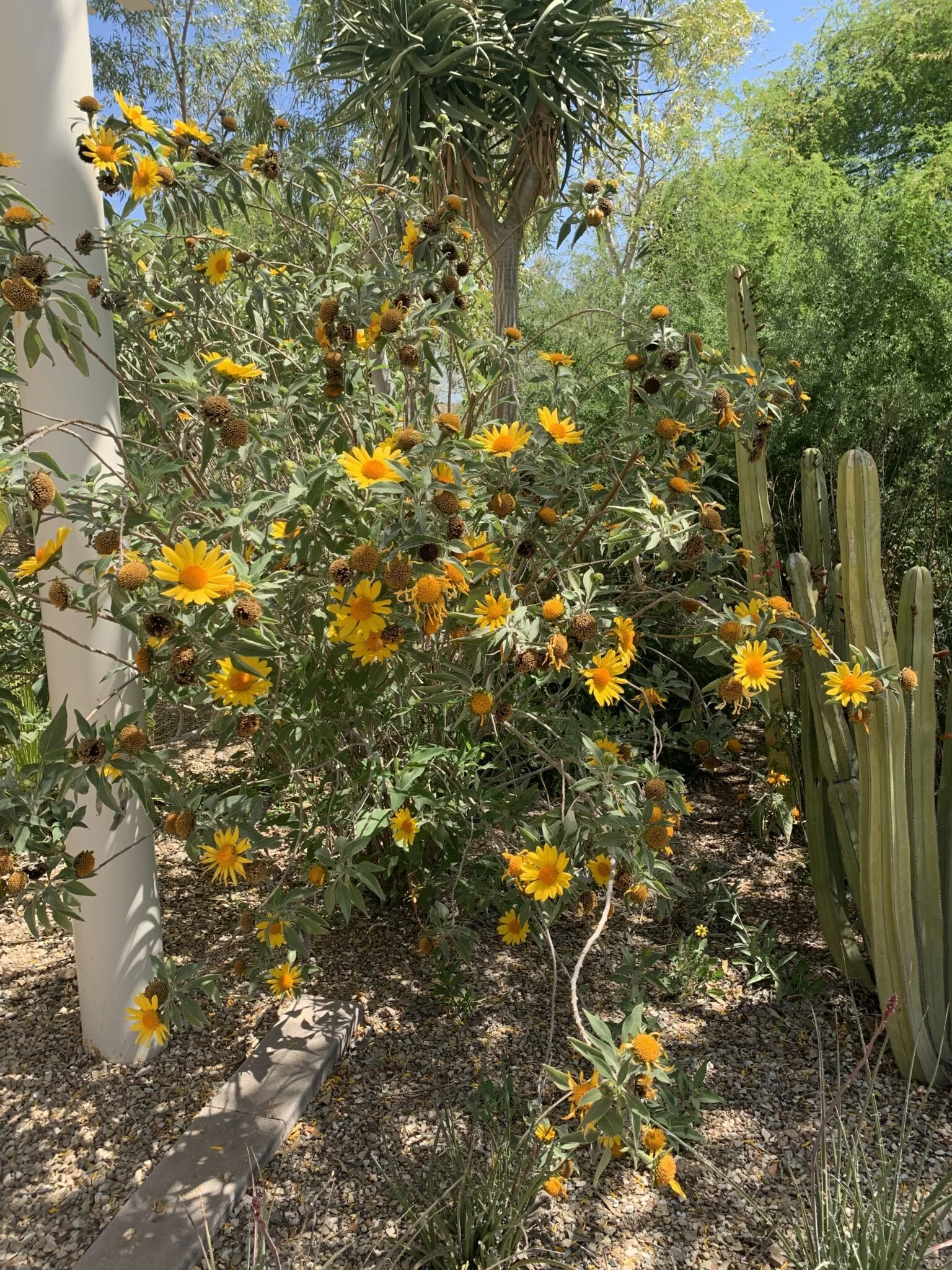 img_5771-1536x2048-9777951