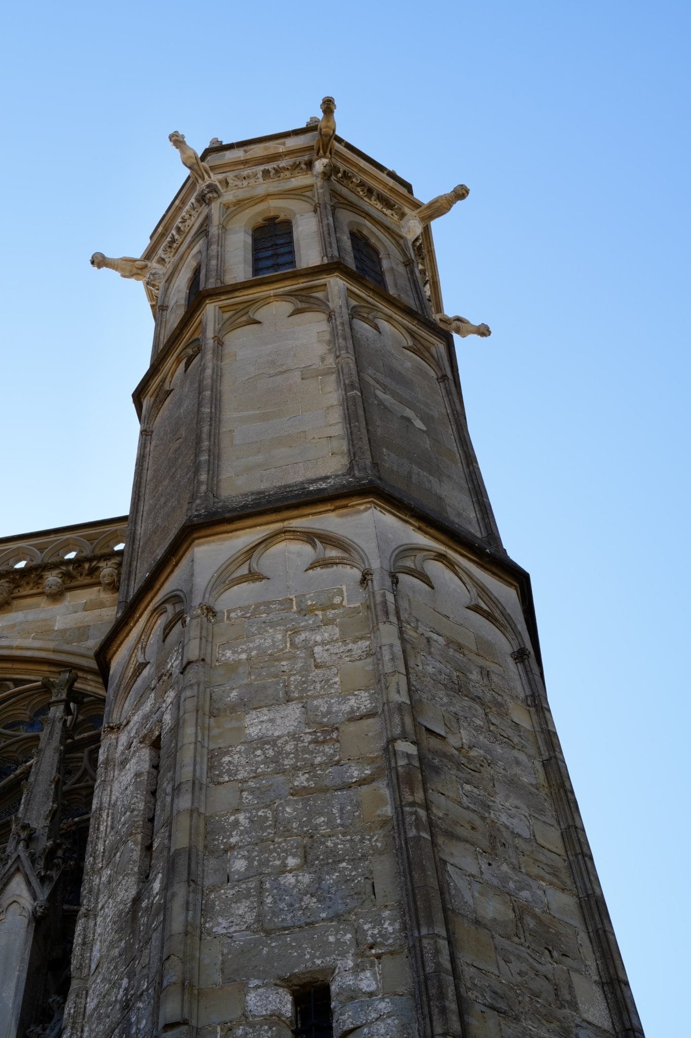 dsc00203-1364x2048-1083186