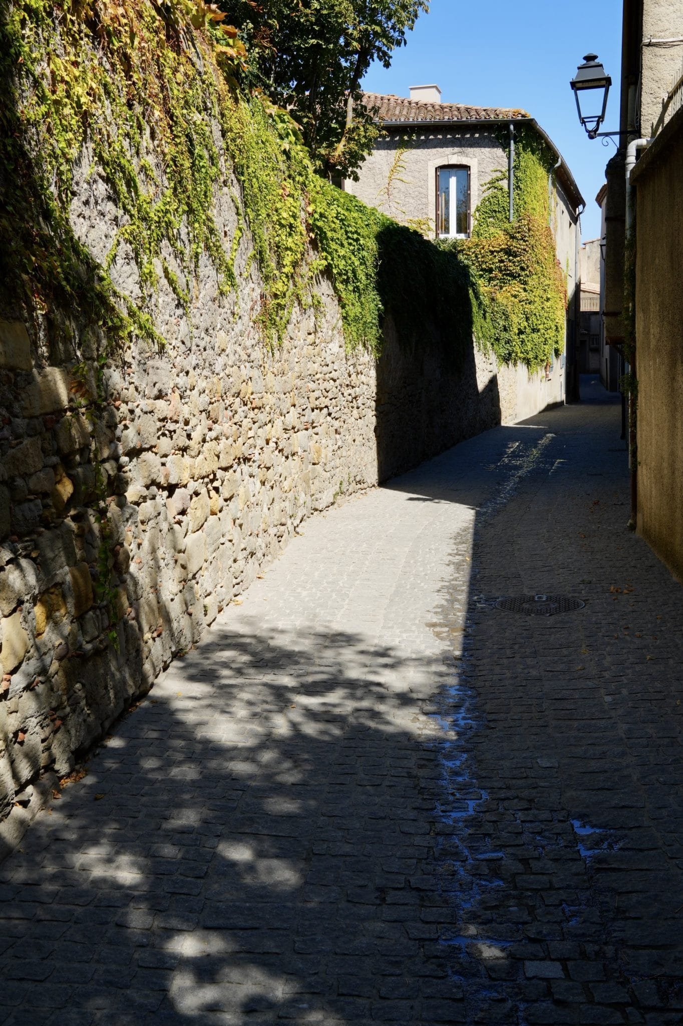 dsc00209-1364x2048-3416658
