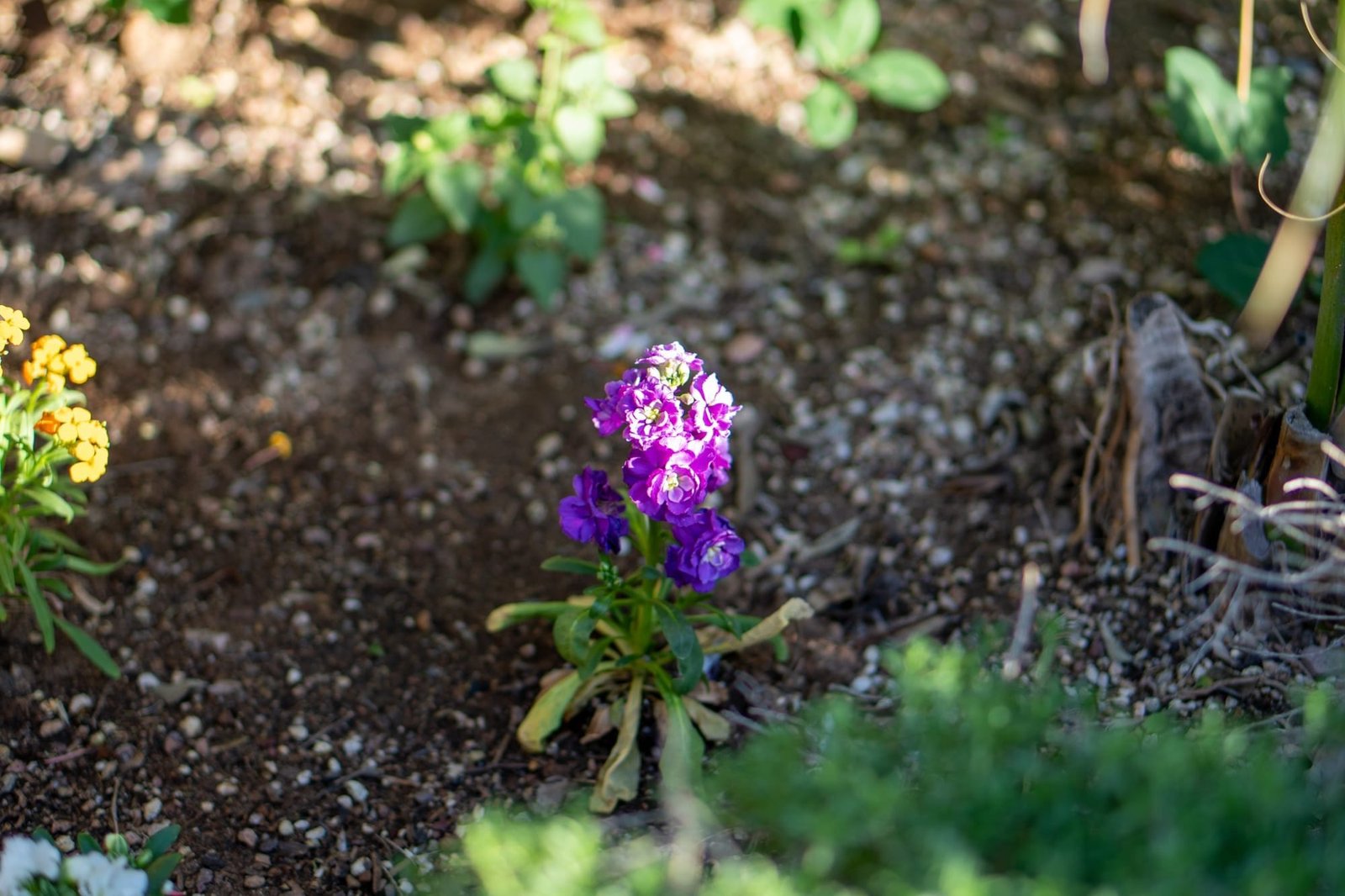 img_1551-1-3432866
