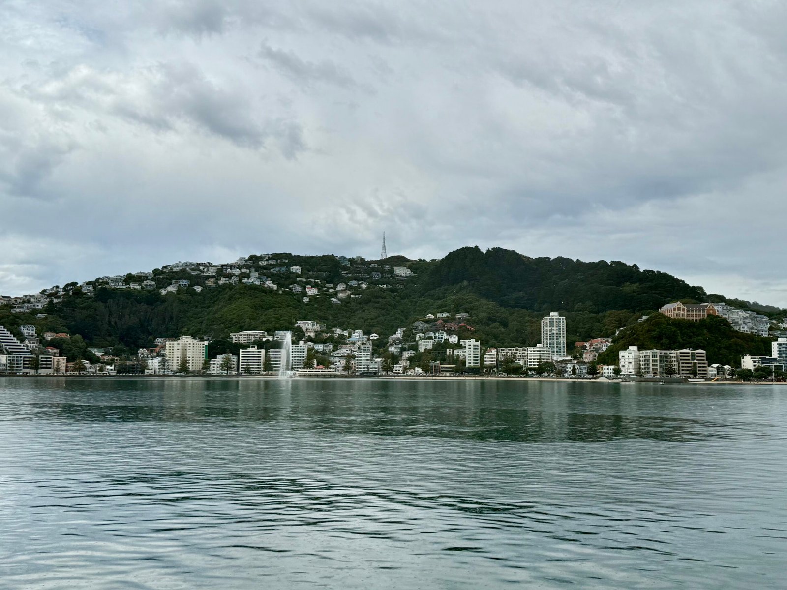 A Trip Across the Harbour A Trip Across the Harbour